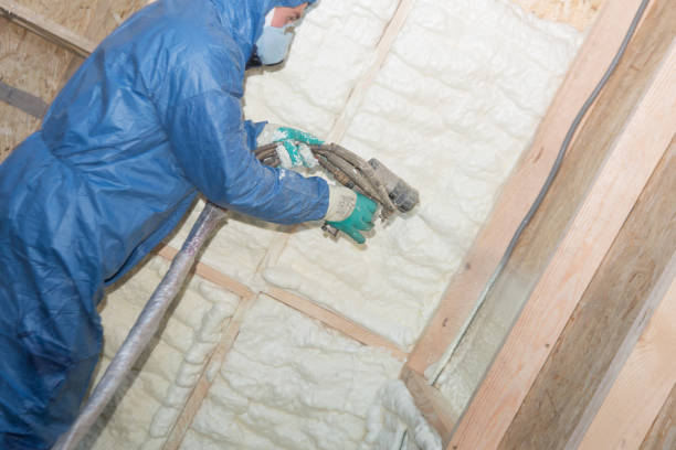 Best Attic Insulation Installation  in Vinton, TX