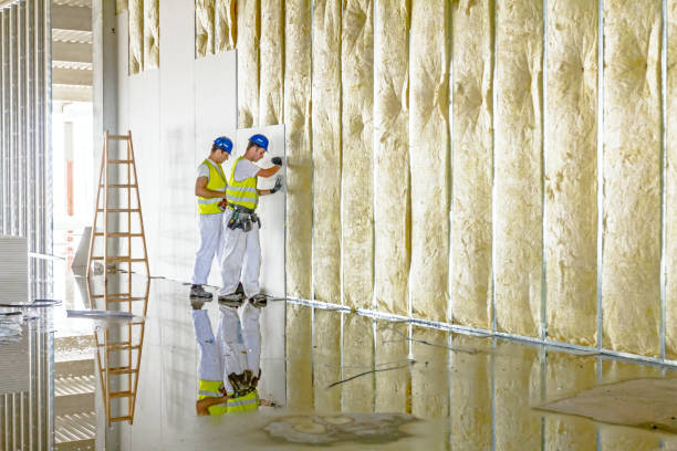 Best Attic Insulation Installation  in Vinton, TX